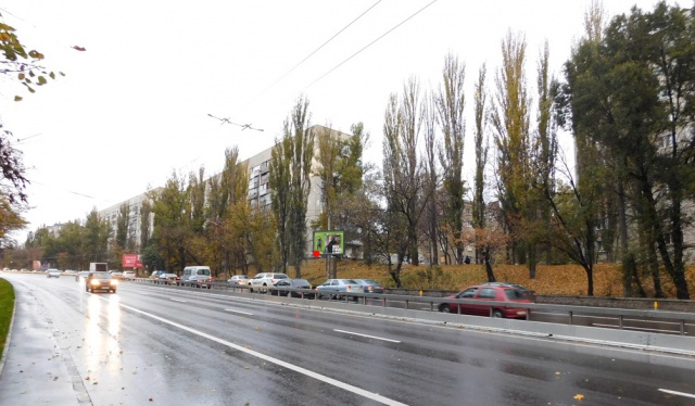 Скролл 3.14x2.32,  Теліги Олени вул., 53, в напрямку Дорогожичі метро